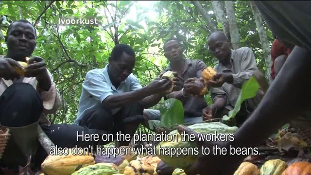 Poor Cocoa Farmers Taste Chocolate For First Time