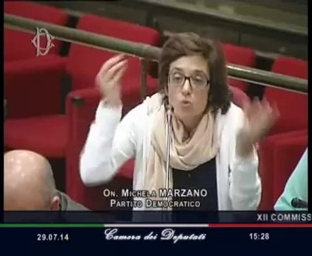 Roma - Legge 40, audizione Ministro Lorenzin (29.07.14)