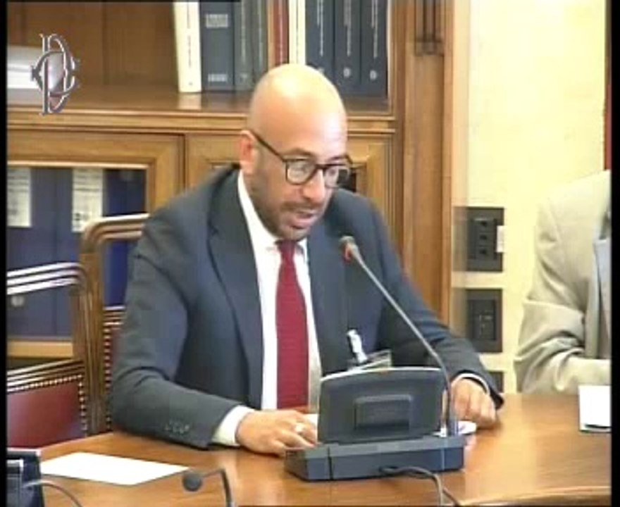 Roma - Audizione Isfol (29.07.14)