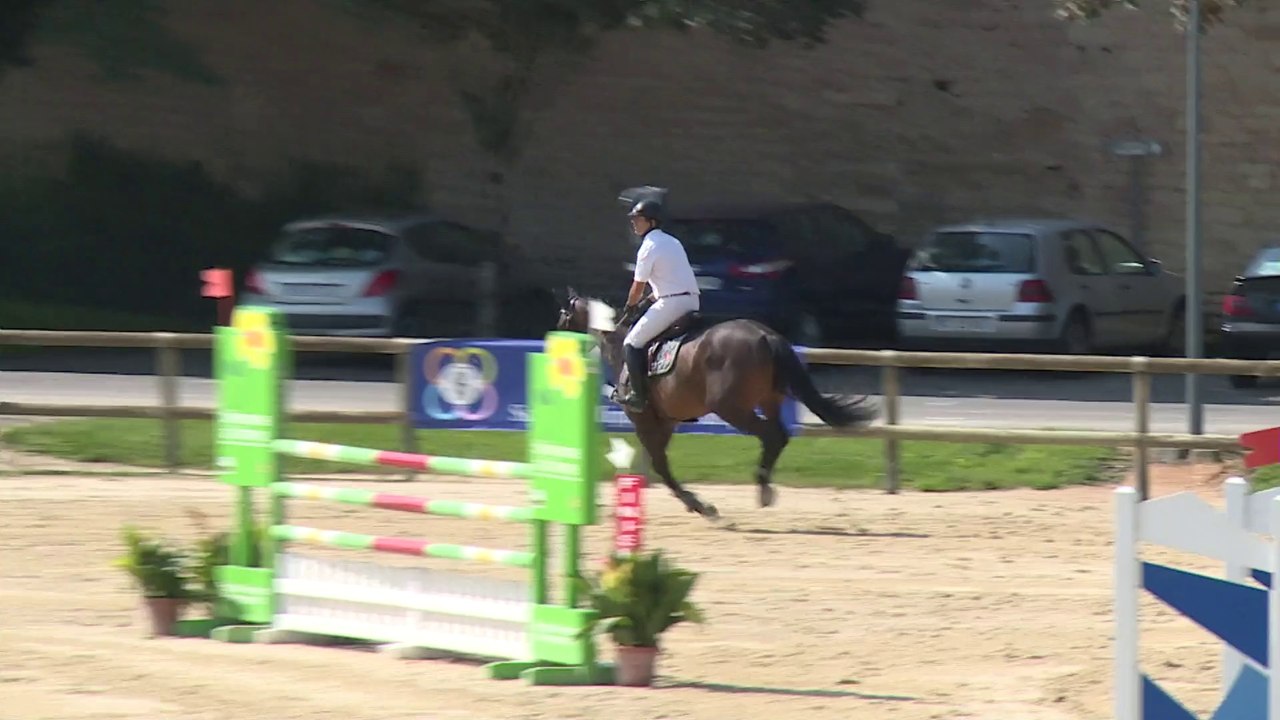 Veryquikstar de Bavoz , CIR de Cluny 07/2014, CCl 5 ans.