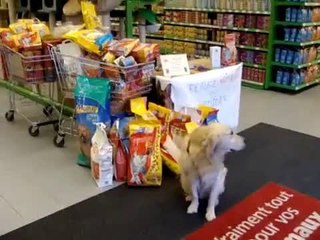 COLLECTE DU 17 MARS 2012 MAXIZOO BEAUVAIS PARTIE 1