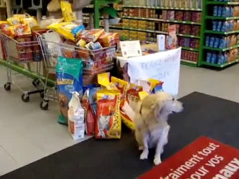 COLLECTE DU 17 MARS 2012 MAXIZOO BEAUVAIS PARTIE 1