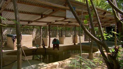 Afrika'da İklim Değişikliği