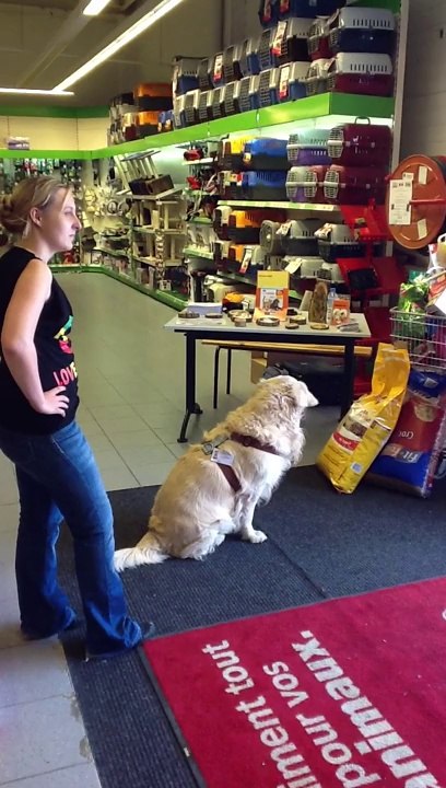 COLLECTE 28 JUILLET 2012 MAXIZOO BEAUVAIS PARTIE 2