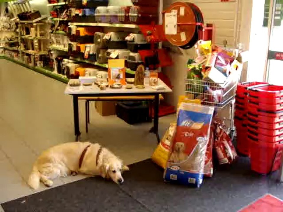 COLLECTE 28 JUILLET 2012 MAXIZOO BEAUVAIS PARTIE 6