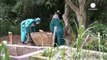Nigeria fights to contain deadly Ebola outbreak