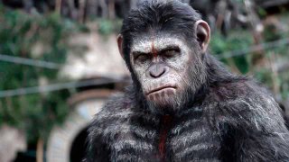Фильм Планета обезьян: Революция 2014 онлайн в хорошем качестве