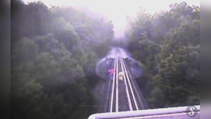 Video herunterladen: 2 femmes survivent à un train qui leur passe dessus