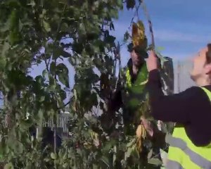 Premiers Emplois d'Avenir chez Impulsion