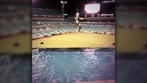 Une piscine dans le stade des Jaguars de Jacksonville