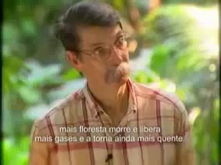 Sem florestas nao ha clima