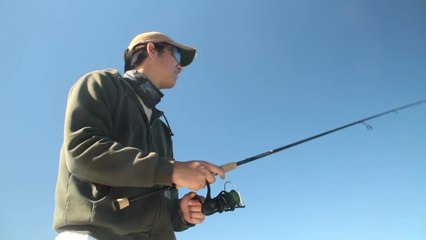 New Spinning Reels: Mitchell 300 and 308
