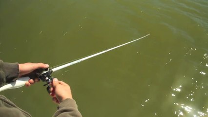 Tackle Test: St. Croix LegendXtreme