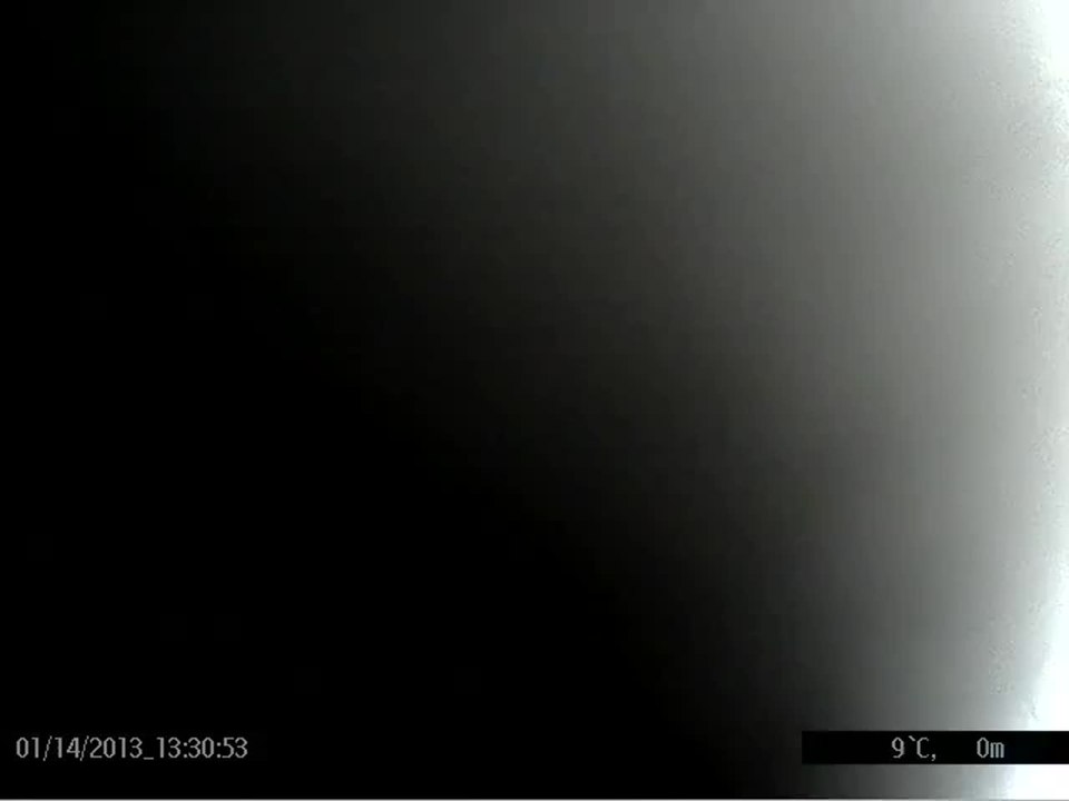 Wildlife Collar Camera