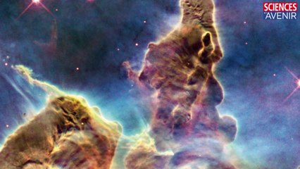 Sciences et Avenir 810 : l'édito de Dominique Leglu