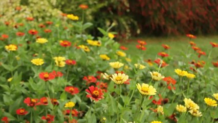 Tobago Watch & Win: Discover the Unspoiled Paradise 🌴