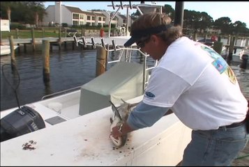 Tải video: Rigs Tips Cobia Filet