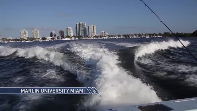 Marlin U 2014 - Miami Kite Fishing - Part 1