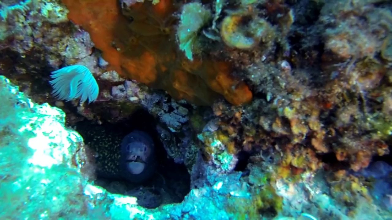 Espagne - Tossa de Mar - Mar Menuda 2014