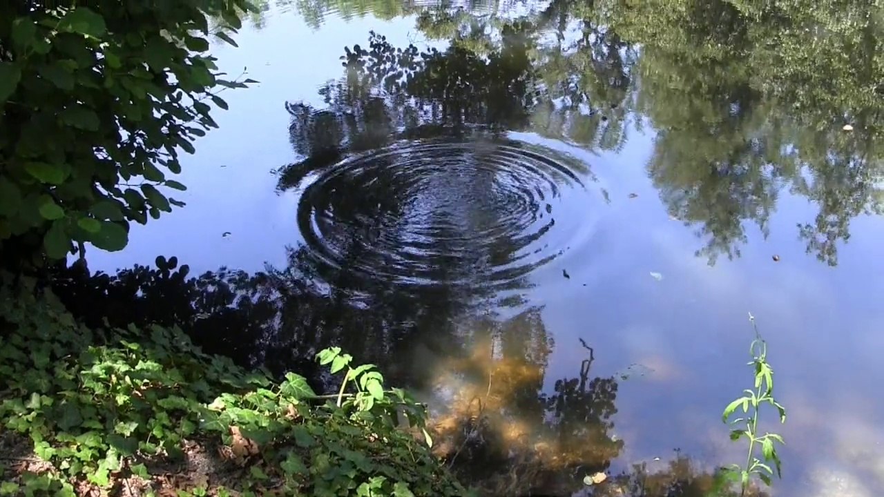 PARC DE MAJOLAN