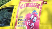 Les animaux d'un cirque maltraités