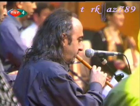 Zeynep BAŞKAN-Sarı Çiçeğim