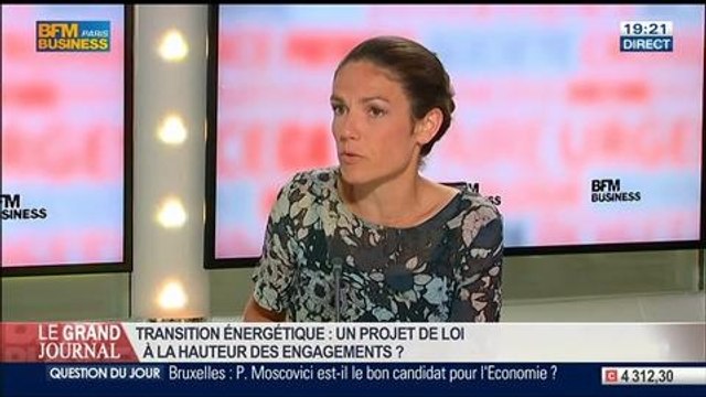 Chantal Jouanno, co-présidente du think tank Ecolo-Ethik, dans Le Grand Journal - 30/07 5/7