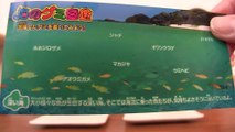 Kracie 海のグミ図鑑 Marine animals shaped candy kit