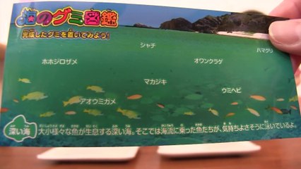 Kracie 海のグミ図鑑 Marine animals shaped candy kit