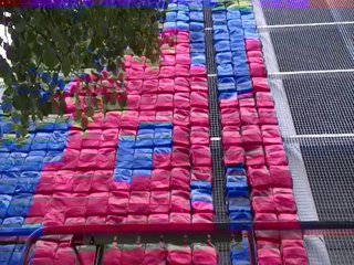 Ai Weiwei  Never Sorry Trailer U S  Version