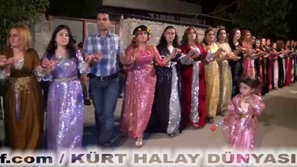JİRKİ AŞİRETİ DÜĞÜNÜ