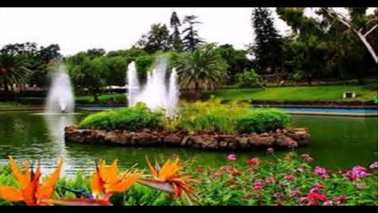 les fontaines aux oiseaux