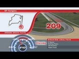 F1ハンガリーGP 2013 ブレーキングデータ