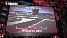 2014年F1バーレーンGPタイヤ解説