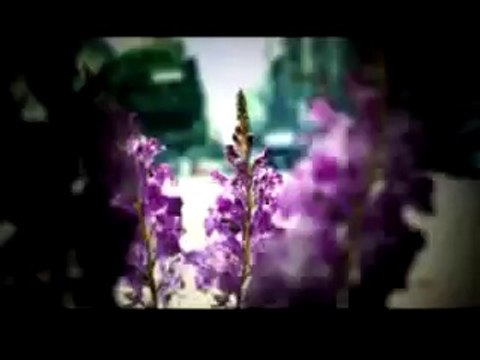 Planet Asia - Dilated Peoples