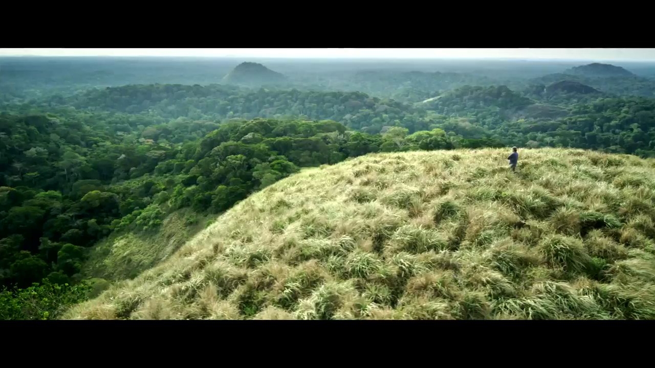 Il Etait une Forêt - Extrait VF