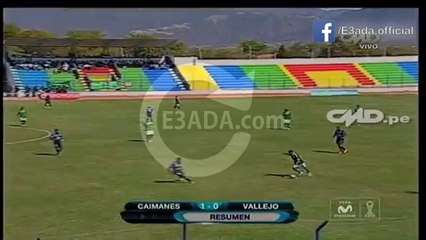 Los Caimanes	1-0	Cesar Vallejo بتاريخ 30/07/2014 - 19:15