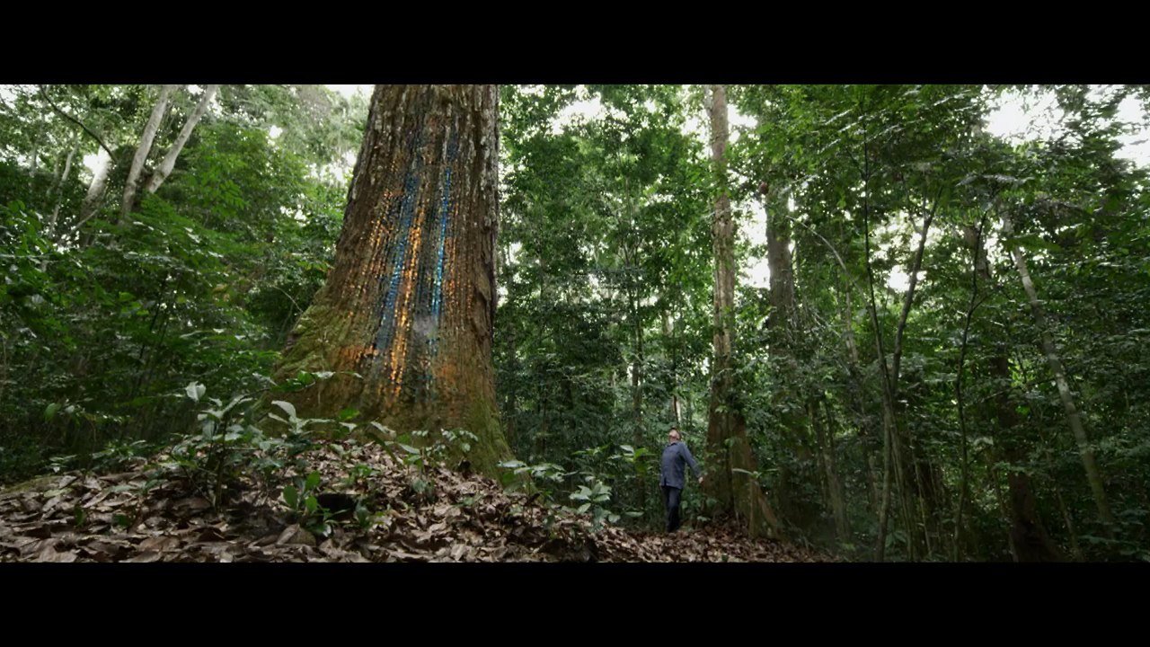 Il Etait une Forêt - Extrait (2) VF