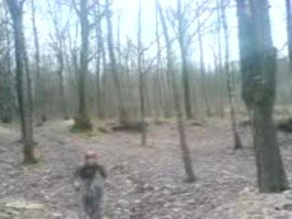 Polux au dessus de thibaud !