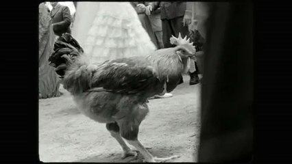 Blancanieves - Extrait (1) VO