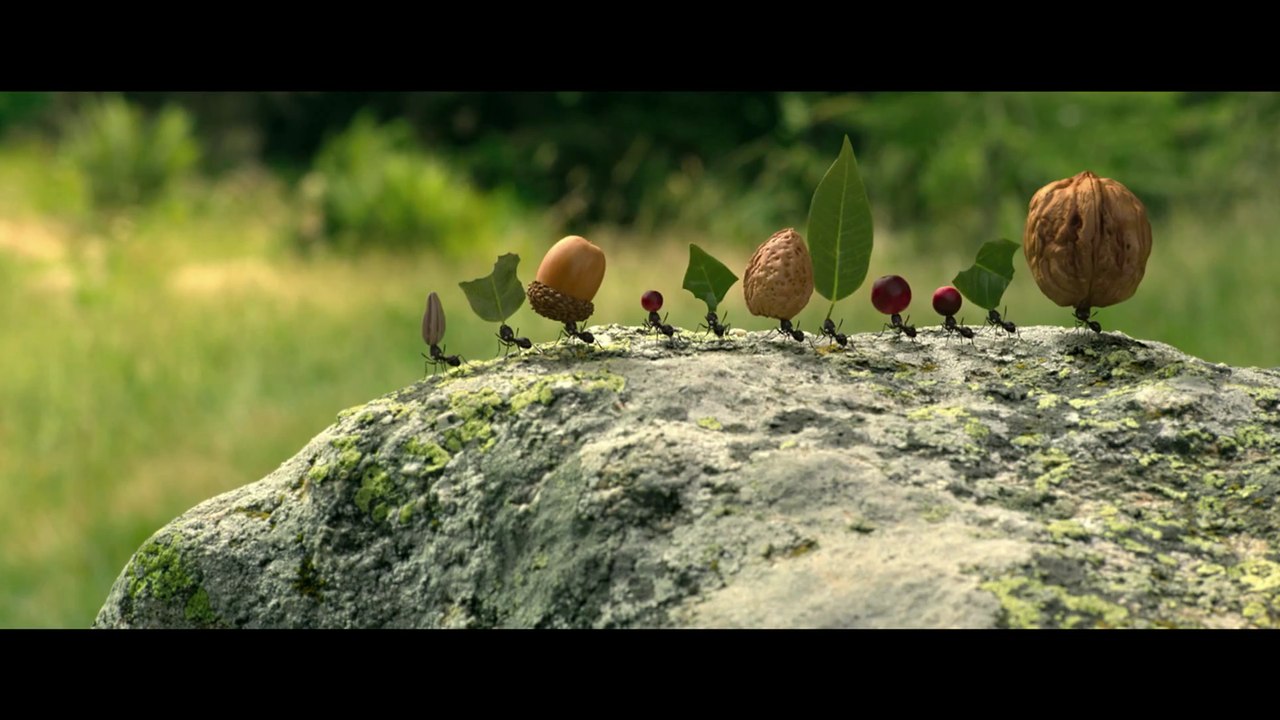 Minuscule - La Vallée des Fourmis Perdues - Extrait (3)