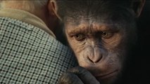 Bande-annonce : La Planète des singes : Les Origines VOST (2)