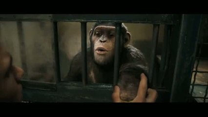 Bande-annonce : La Planète des singes : Les Origines VOST - Super trailer