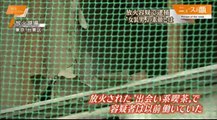 14 07 27 EX HSS　防犯カメラ　監視カメラ　解像度　江ノ島　株デジタルデザイン