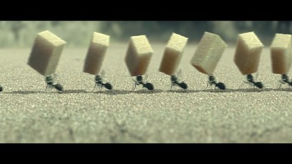 Minuscule - La Vallée des Fourmis Perdues - Extrait (5)