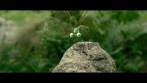 Minuscule - La Vallée des Fourmis Perdues - Extrait (4)