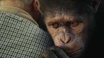 Bande-annonce : La Planète des singes : Les Origines VF (2)