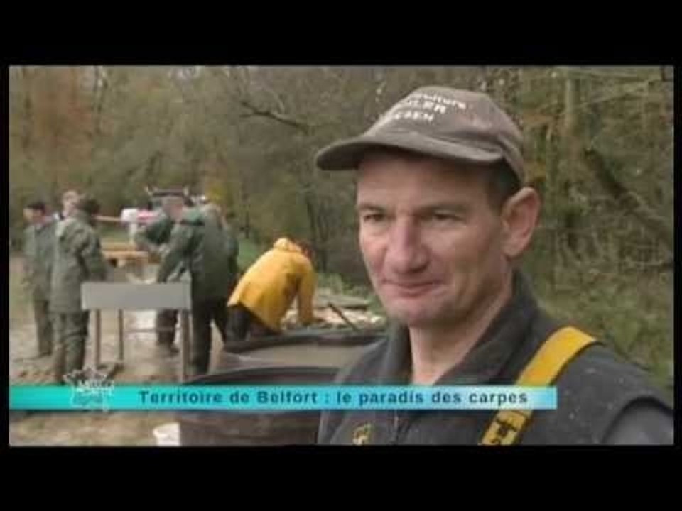 Carpes - 15 novembre 2012