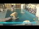 Zoo de Mulhouse : Les animaux polaires sous le climat alsacien
