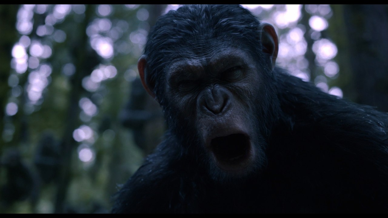 La Planète des Singes : l'Affrontement - Extrait (2) VF